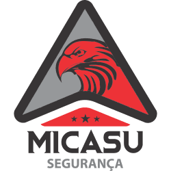 MICASU SEGURANCA